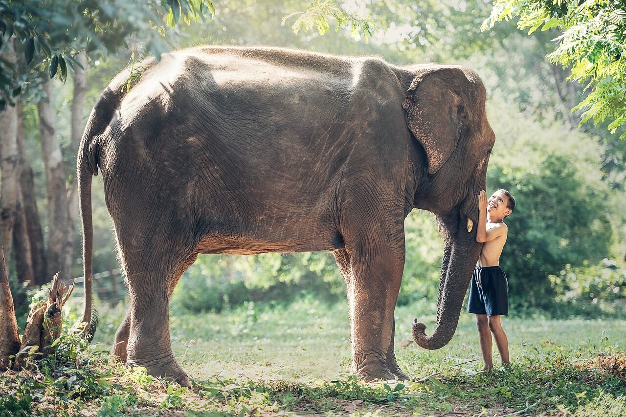 Start your day with ethical interactions in Thailand